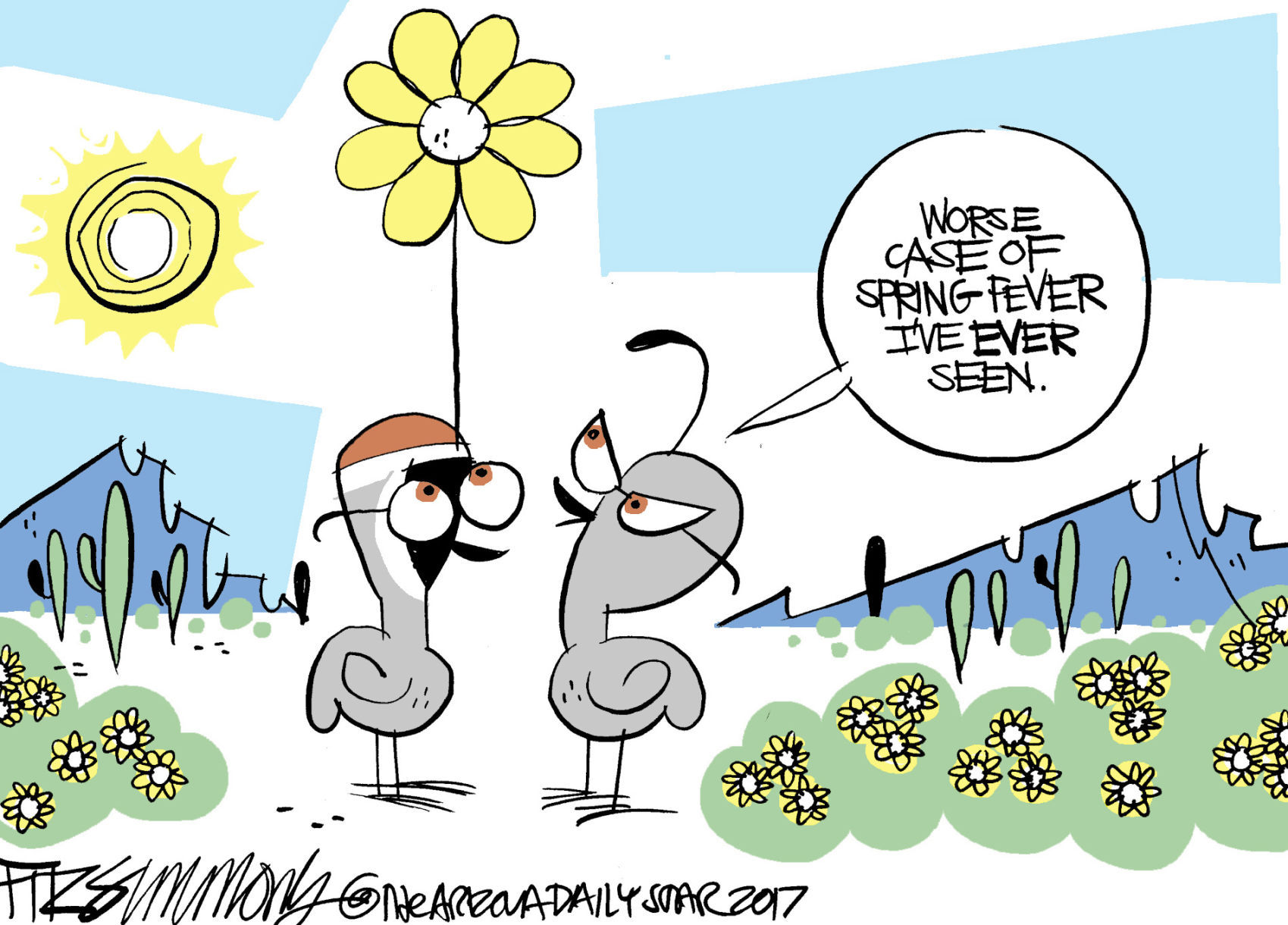 Last Laugh: Sprang
